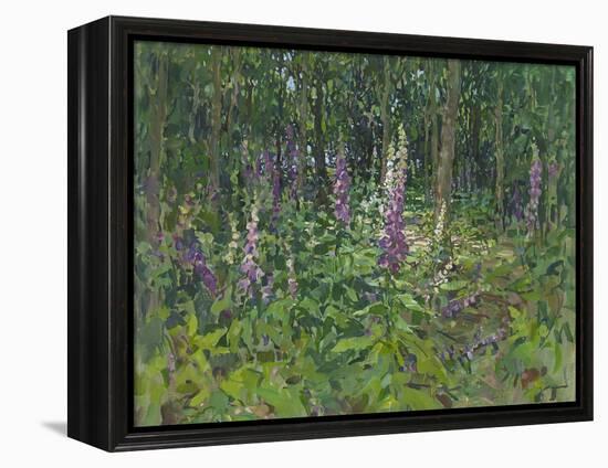 Foxgloves-Susan Ryder-Framed Premier Image Canvas