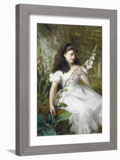 Foxgloves-George Augustus Holmes-Framed Giclee Print