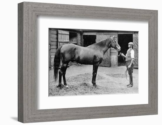 'Foxhall', 1880-1904, (1911)-Unknown-Framed Photographic Print