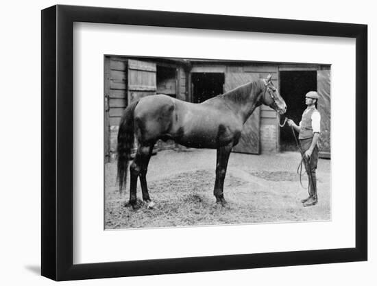 'Foxhall', 1880-1904, (1911)-Unknown-Framed Photographic Print