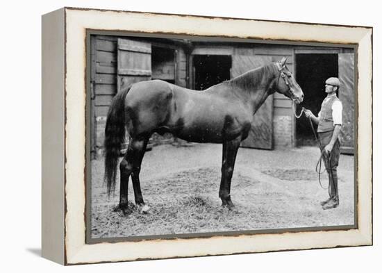 'Foxhall', 1880-1904, (1911)-Unknown-Framed Premier Image Canvas