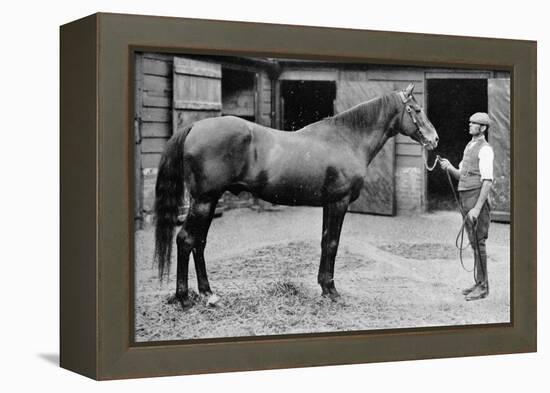 'Foxhall', 1880-1904, (1911)-Unknown-Framed Premier Image Canvas