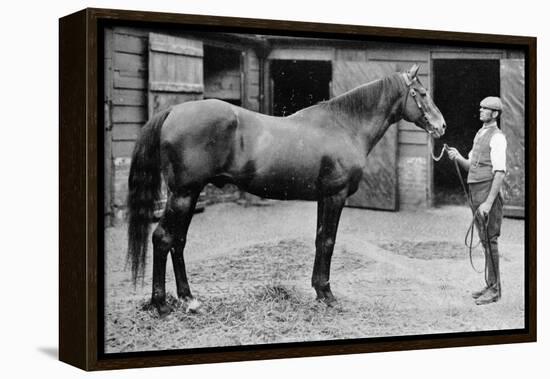 'Foxhall', 1880-1904, (1911)-Unknown-Framed Premier Image Canvas