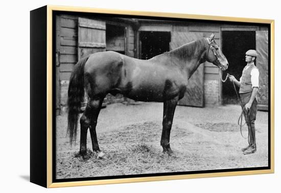 'Foxhall', 1880-1904, (1911)-Unknown-Framed Premier Image Canvas