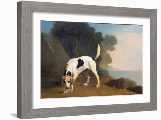 Foxhound on the Scent, C.1760 (Oil on Paper Laid on Board)-George Stubbs-Framed Giclee Print