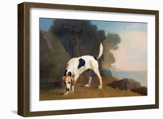 Foxhound on the Scent, C.1760 (Oil on Paper Laid on Board)-George Stubbs-Framed Giclee Print