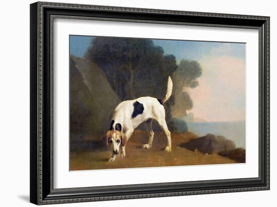 Foxhound on the Scent, C.1760 (Oil on Paper Laid on Board)-George Stubbs-Framed Giclee Print