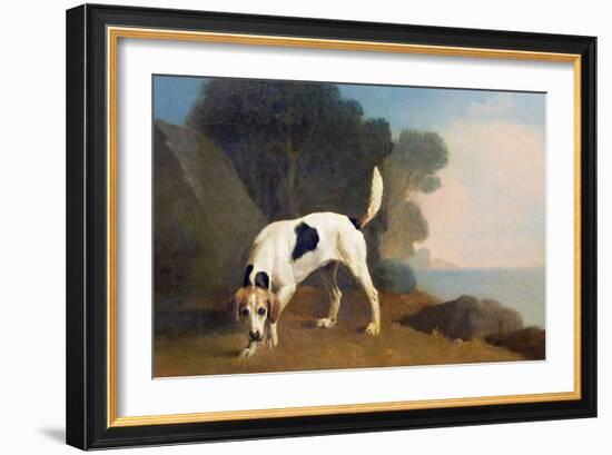 Foxhound on the Scent, C.1760 (Oil on Paper Laid on Board)-George Stubbs-Framed Giclee Print