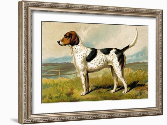 Foxhound-Vero Shaw-Framed Art Print