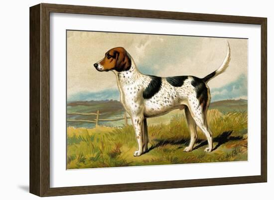 Foxhound-Vero Shaw-Framed Art Print