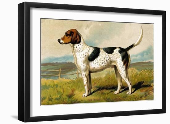 Foxhound-Vero Shaw-Framed Art Print