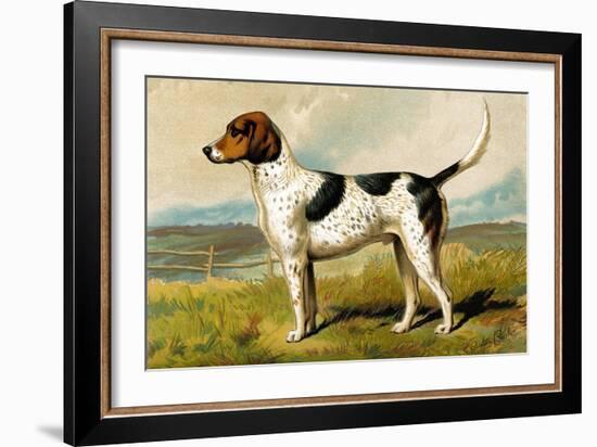 Foxhound-Vero Shaw-Framed Art Print