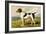 Foxhound-Vero Shaw-Framed Art Print