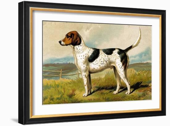 Foxhound-Vero Shaw-Framed Art Print