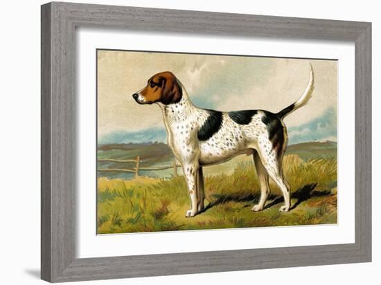 Foxhound-Vero Shaw-Framed Premium Giclee Print