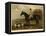 Foxhunting-null-Framed Premier Image Canvas