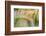 Foxtail Barley Agriculture Near Regent, North Dakota, USA-Chuck Haney-Framed Photographic Print