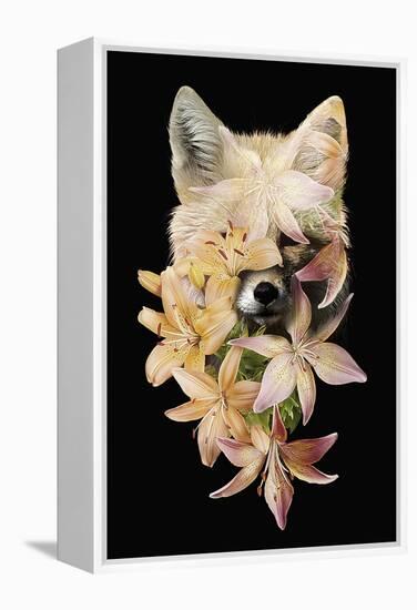 Foxy Flowers-Robert Farkas-Framed Premier Image Canvas
