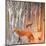 Foxy Wood-Claire Westwood-Mounted Art Print