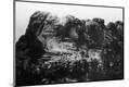 Premium Photographic Print