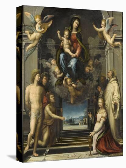 Stretched Canvas Print, , large