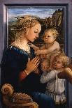 Vergine in Adorazione, c.1406-1469-Fra Filippo Lippi-Stretched Canvas