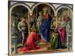 Stretched Canvas Print