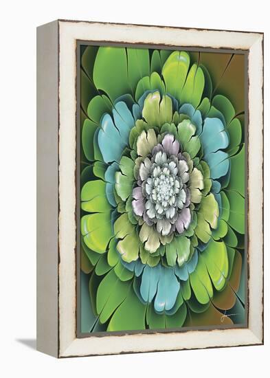 Fractal Blooms I-James Burghardt-Framed Stretched Canvas