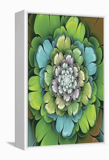 Fractal Blooms I-James Burghardt-Framed Stretched Canvas