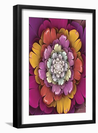 Fractal Blooms II-James Burghardt-Framed Art Print