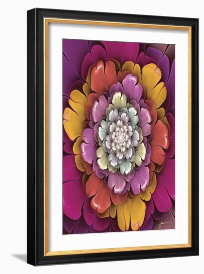 Fractal Blooms II-James Burghardt-Framed Art Print