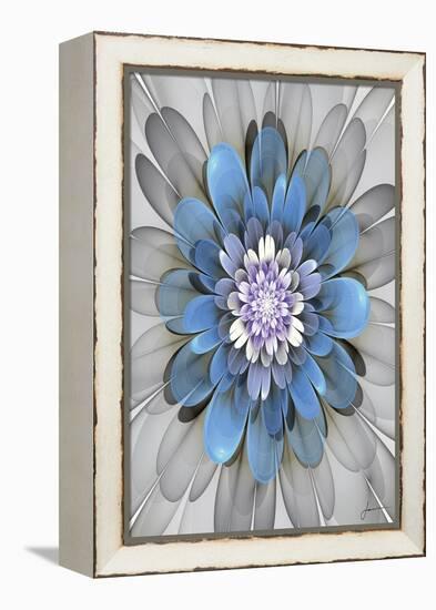 Fractal Blooms III-James Burghardt-Framed Stretched Canvas