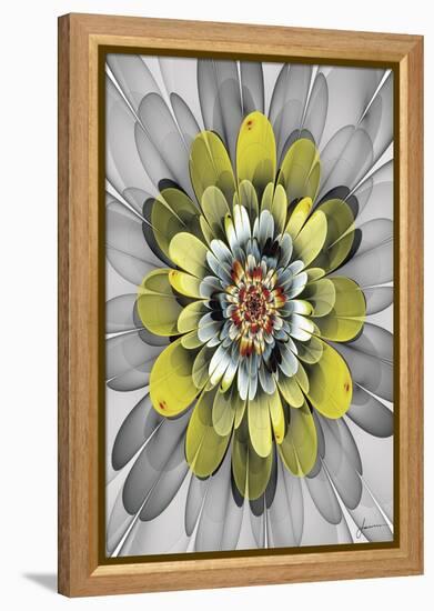 Fractal Blooms IV-James Burghardt-Framed Stretched Canvas