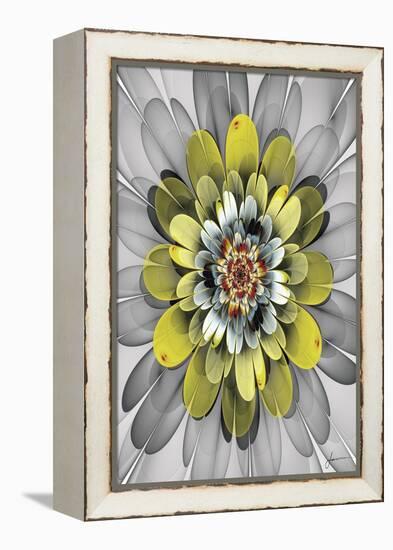 Fractal Blooms IV-James Burghardt-Framed Stretched Canvas