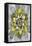 Fractal Blooms IV-James Burghardt-Framed Stretched Canvas