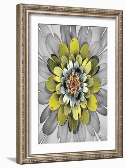 Fractal Blooms IV-James Burghardt-Framed Art Print