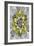 Fractal Blooms IV-James Burghardt-Framed Art Print