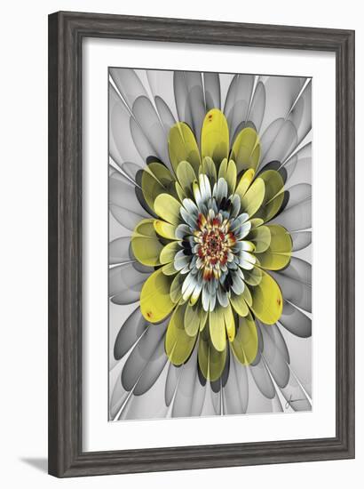 Fractal Blooms IV-James Burghardt-Framed Art Print