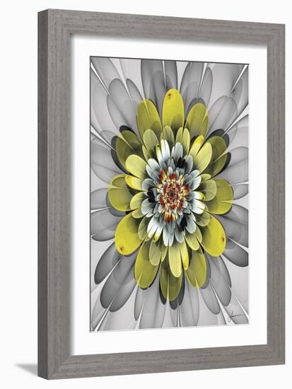 Fractal Blooms IV-James Burghardt-Framed Art Print