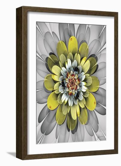 Fractal Blooms IV-James Burghardt-Framed Art Print