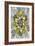 Fractal Blooms IV-James Burghardt-Framed Art Print