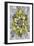 Fractal Blooms IV-James Burghardt-Framed Art Print