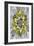 Fractal Blooms IV-James Burghardt-Framed Art Print