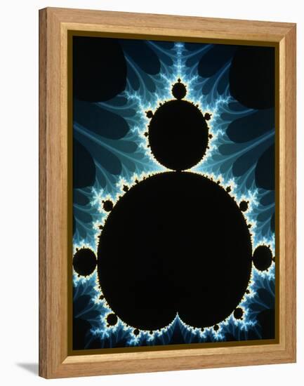 Fractal Geometry : Mandelbrot Set-Dr. Seth Shostak-Framed Premier Image Canvas