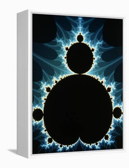 Fractal Geometry : Mandelbrot Set-Dr. Seth Shostak-Framed Premier Image Canvas