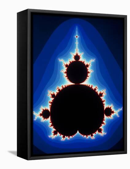 Fractal Geometry Showing Mandelbrot Set-Dr. Seth Shostak-Framed Premier Image Canvas