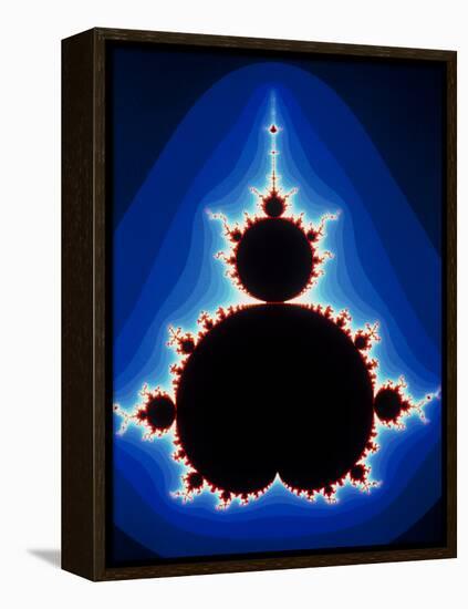 Fractal Geometry Showing Mandelbrot Set-Dr. Seth Shostak-Framed Premier Image Canvas