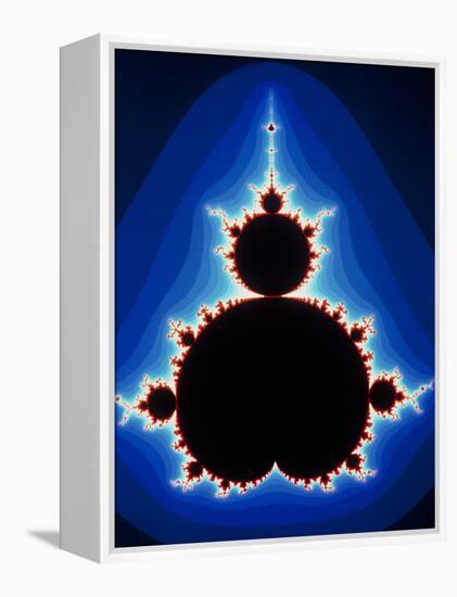 Fractal Geometry Showing Mandelbrot Set-Dr. Seth Shostak-Framed Premier Image Canvas