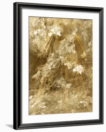 Fractal Light II-Alan Hausenflock-Framed Photographic Print