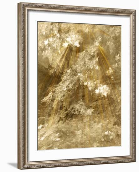 Fractal Light II-Alan Hausenflock-Framed Photographic Print